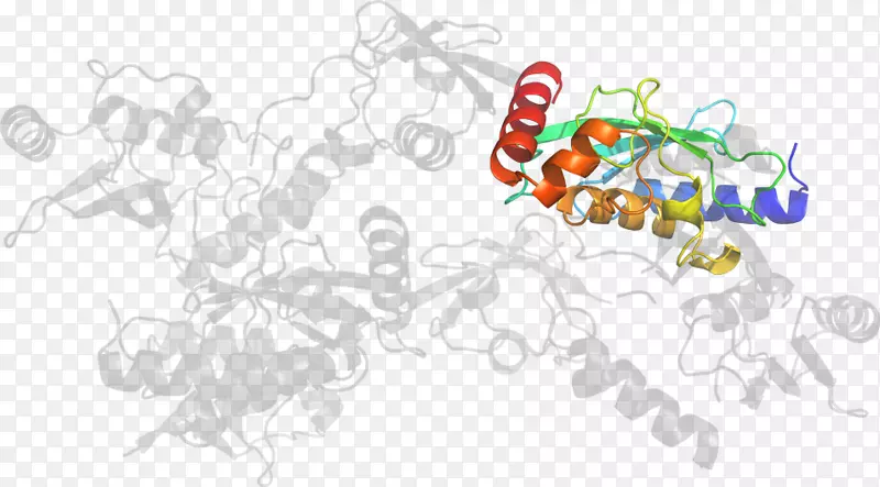 �廭��������Ʒ����л���-˫��-������