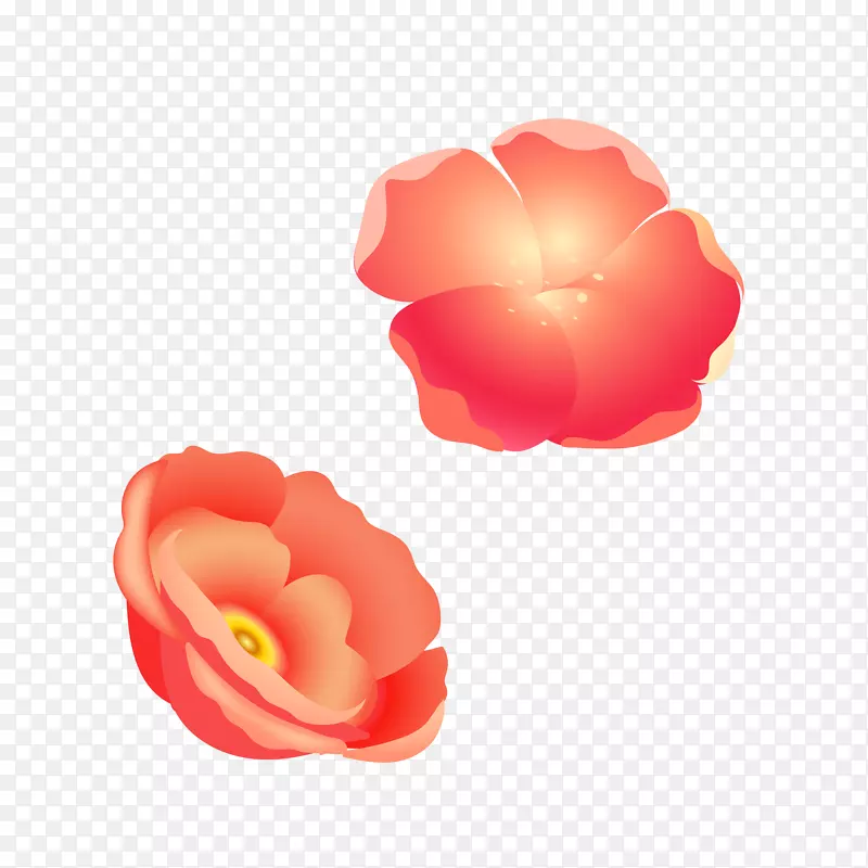 ͼƬͼ���������ˮ�ʻ�-���𻨻�-������