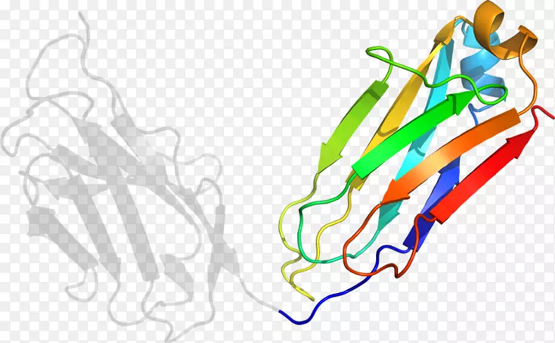 ��������ͼƽ�����������-������