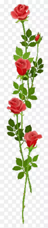 ����ֲ�ﻨ԰õ���-����-������