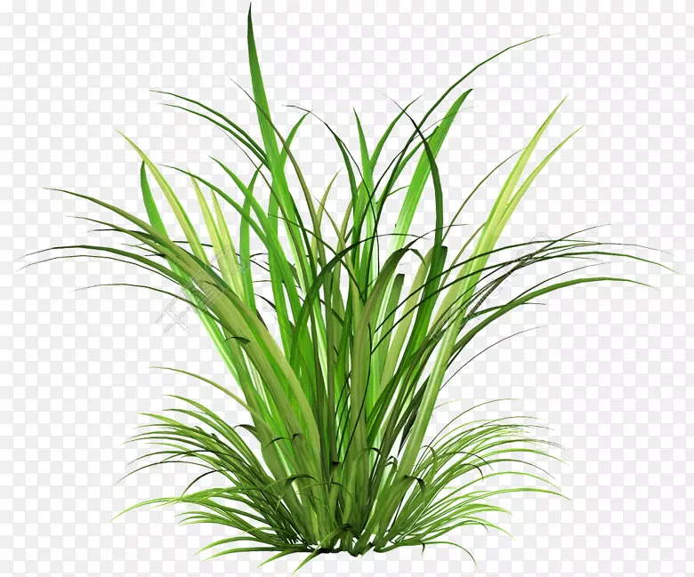 pngͼƬ��������ͼ��͸������Ƭ��͸��-������