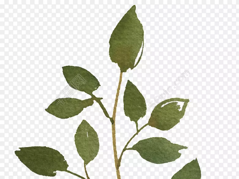 pngͼƬͼ������ͼ��ˮ�ʻ�.��ɫֲ��-������