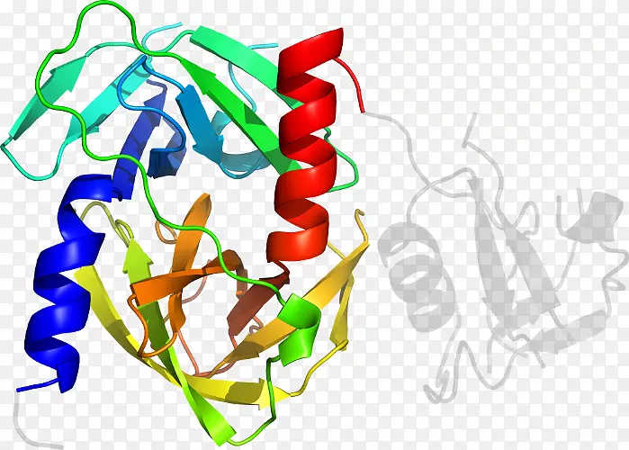 �������л���������Ϊ��-������