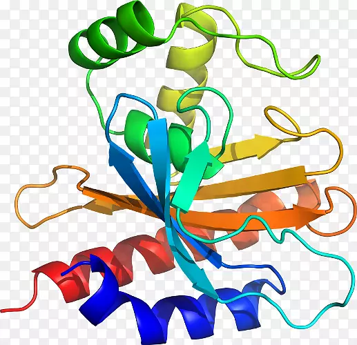 ��������Ʒ�л����߶���.���Ҳ�ͼ-������