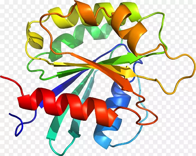 ��������Ʒ�л����߶���-������