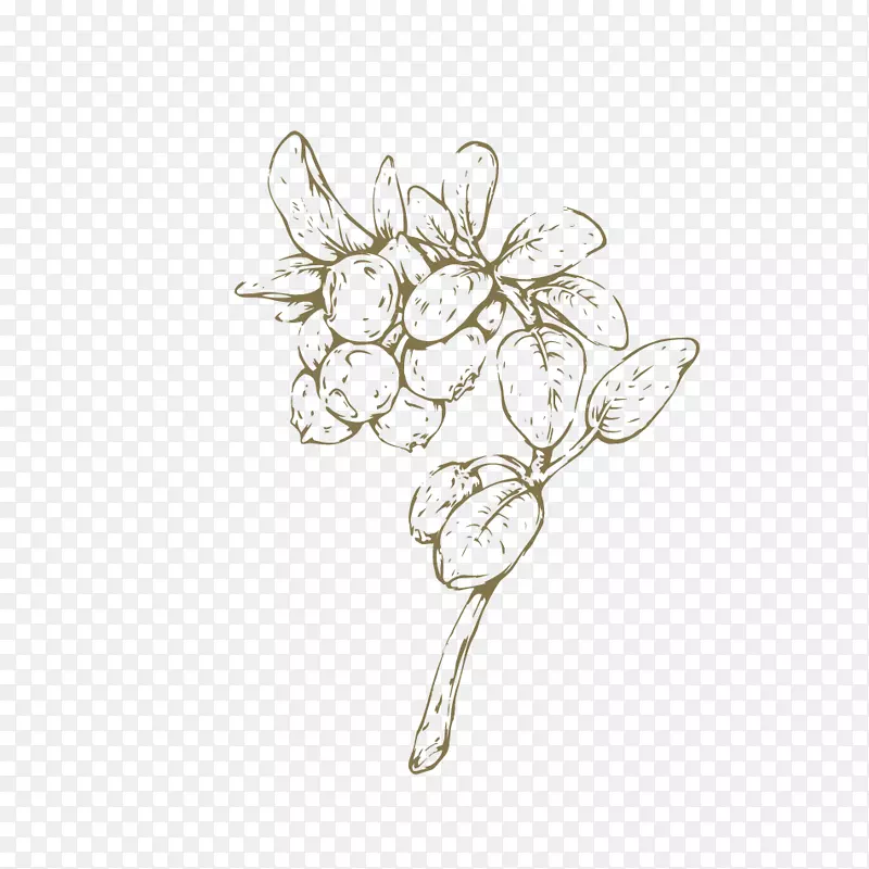 �����鱦��ɫ����ֲ������-������