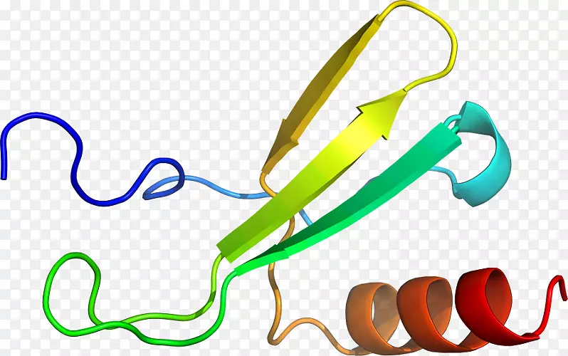 ��Ʒ��Ƽ�������-����������-������