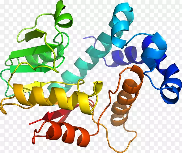 ��������Ʒ�л����߶���.�ϻ���ޣͼ��-������