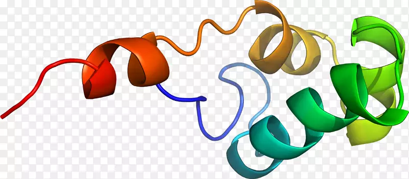 ��Ʒ��Ƽ�����ϵ��-������