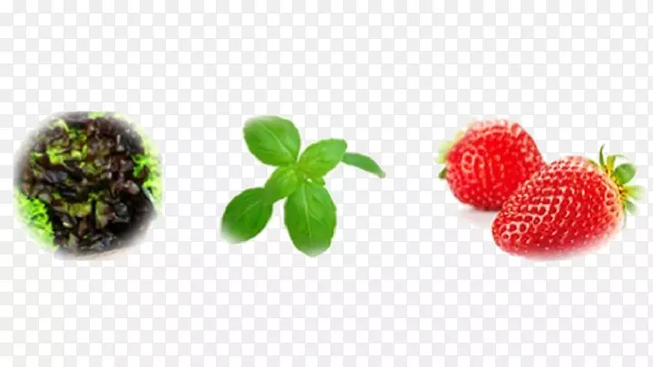 ��ݮ��Ȼʳ�ｬ������ʳ��-������