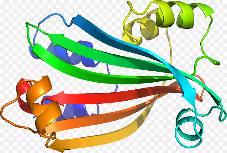 �߲˼�����ϵ��-�߲�-������