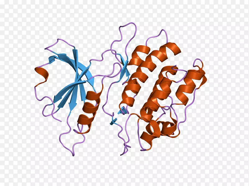 ��������Ʒ�л������-������