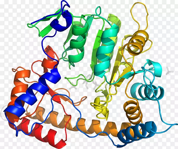 ��������Ʒ�л����߶���-EIB-������