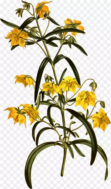 ������Ƽ��������л�����-˳��ͼ-������