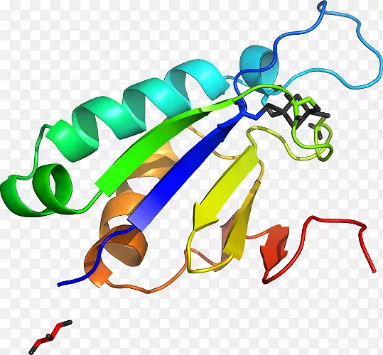 ��������Ʒ�޼�׵�����߶���-������