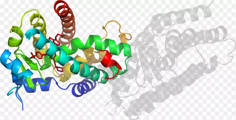 ���������Ʒ����-������