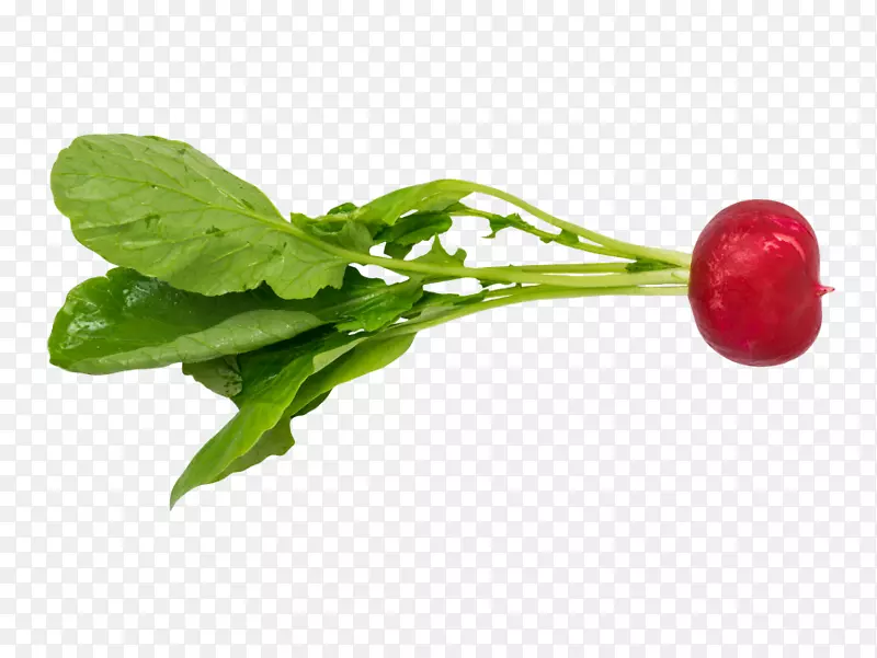 �߲�԰ͼ��pngͼƬʳƷ�߲�-������