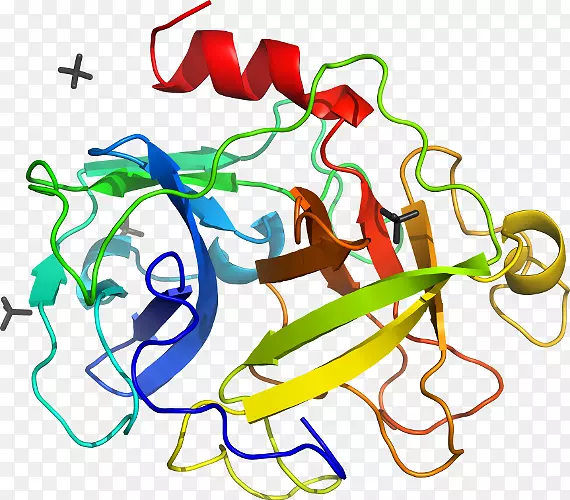 ��������Ʒ�л����߶���-������