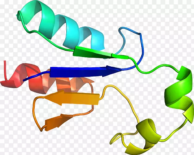 ��Ʒ��Ƽ������л�����-��������-������