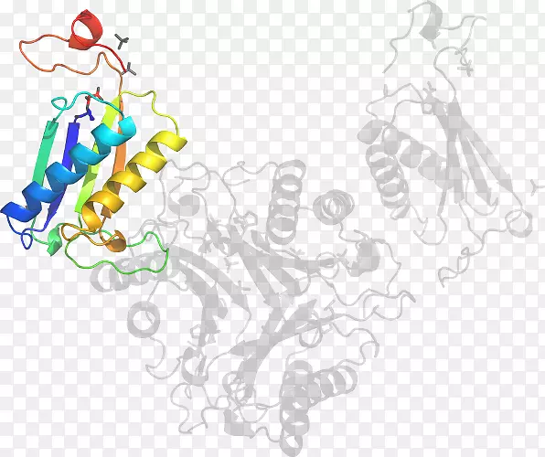 �廭�������߲�Ʒ��-������