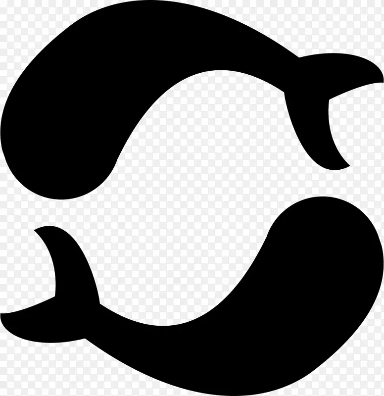 ˫��������ռ����˫����-������