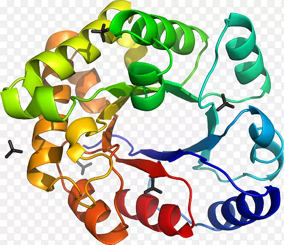 ���������ﶯ�����-EIB-������