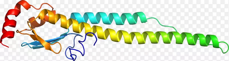 �������л����߶���-������