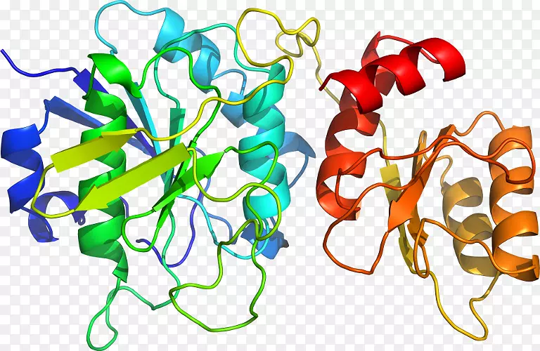 ��������Ʒ�л����߶���-������