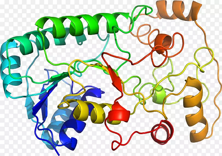 �������ߵ��Ʒ�л���-��ľ��ͼ-������