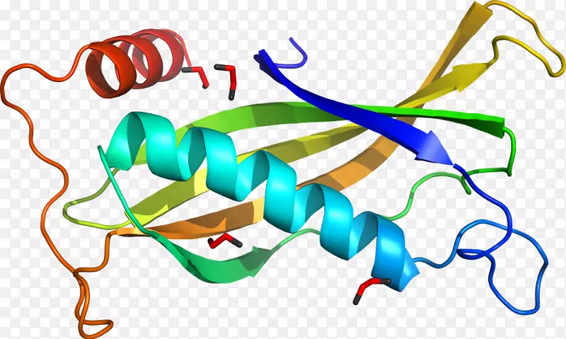 ��������ƽ����Ƶ��Ʒ-bjk-������