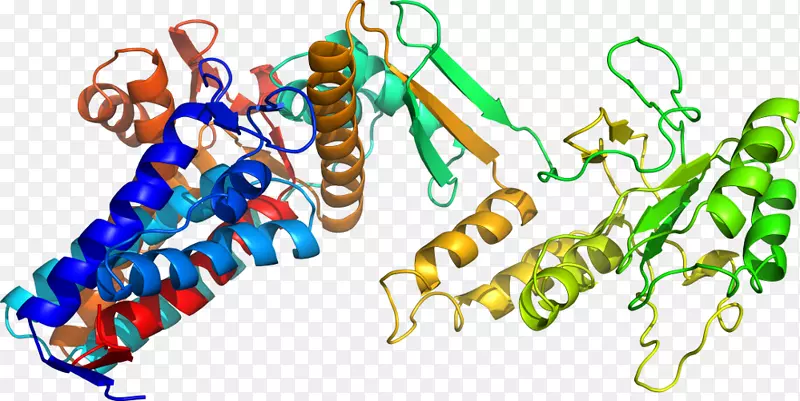 �������л�����������-������