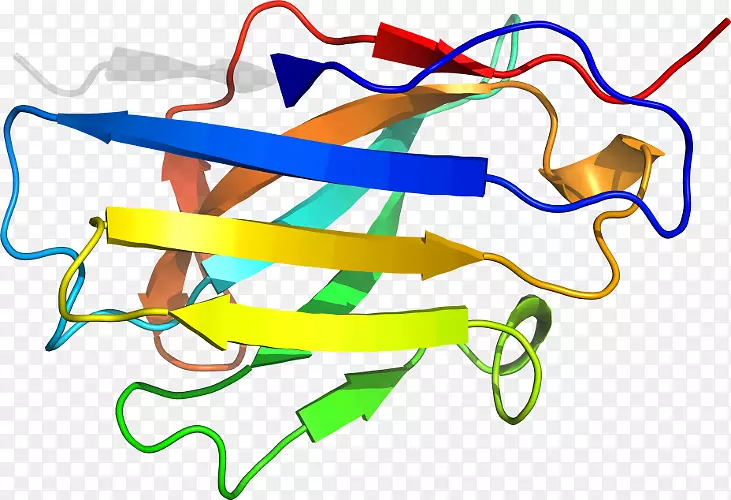 ��������Ʒ�����-USF-������