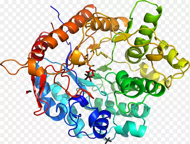 �������л����鱦������Ϣ-������