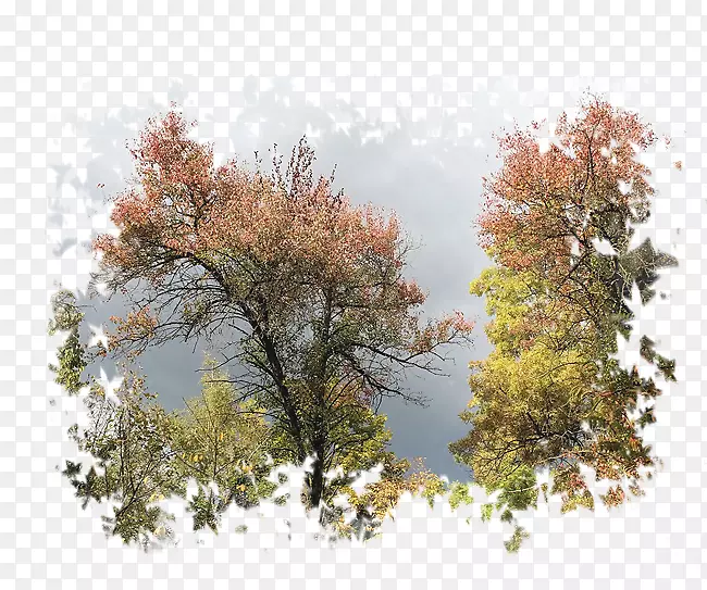 pngͼƬ�����ֽ�����＾LiveInternet-Orman��������-������