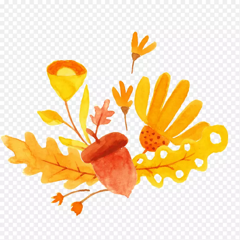 ˮ�ʻ�������ƿ�ͨ��ͼ-��ɫͼ��-������