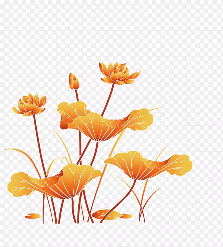 ��ʥ����pngͼƬ����ͼ�����-��ɫֲ��-������