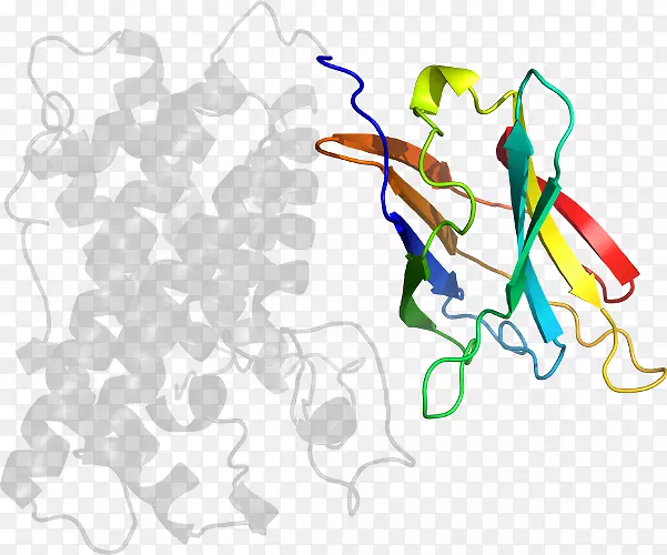 ��Ʒ�������ߵ��л���-��Ĥ-������