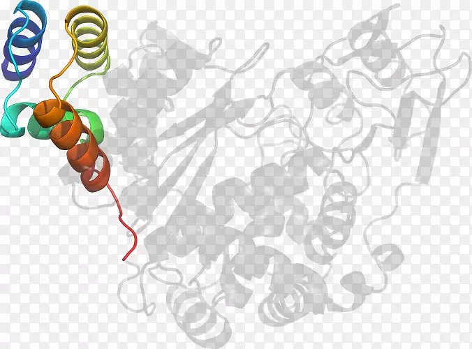 �����Ʒ��Ƽ�������Ʒ���.��Ĥ-������