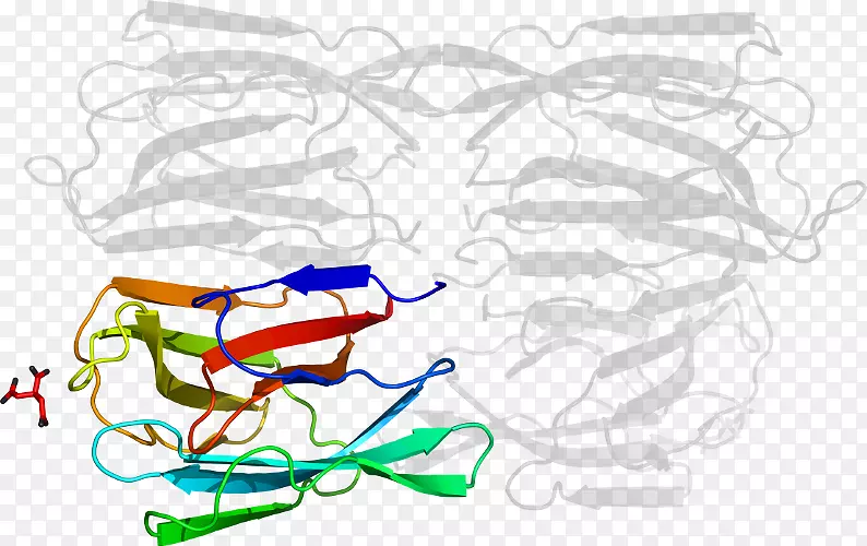 �������廭�߲�Ʒ��-d6-������