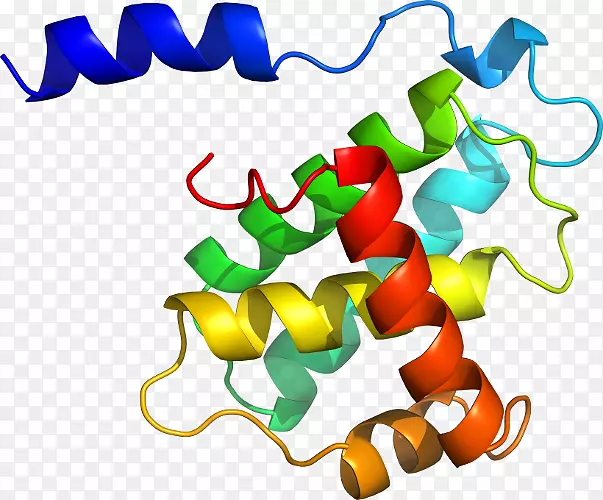 ��������Ʒ�л����߶���-������