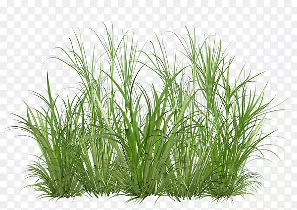 pngͼƬ�����ֽͼ�������ͼ�������Ĳ�-������