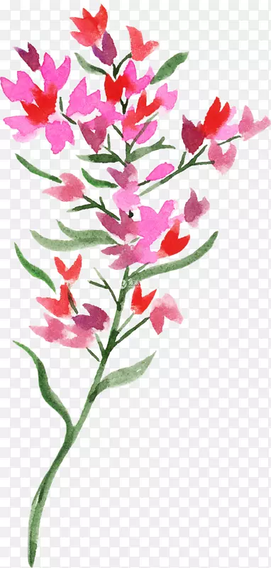 ˮ�ʻ�������ƻ���pngͼƬͼƬ-����-������