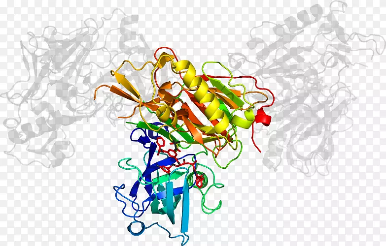 �������л�����-������˹��-������