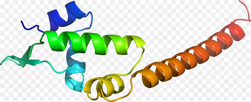 ��������Ʒ�л����߶���-������