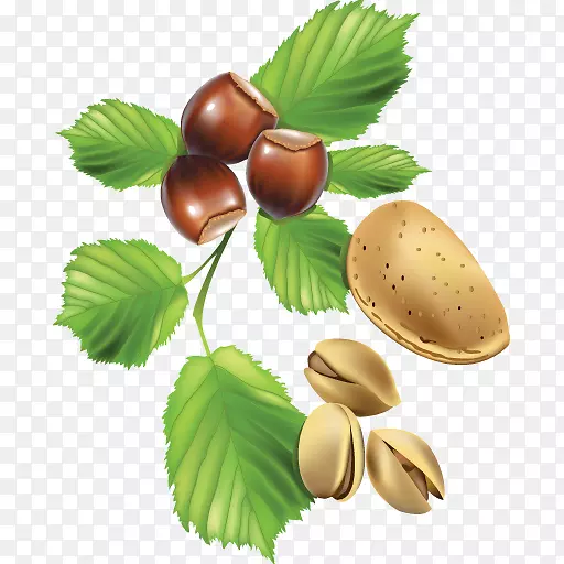 ͼ�����ͼ.����-������