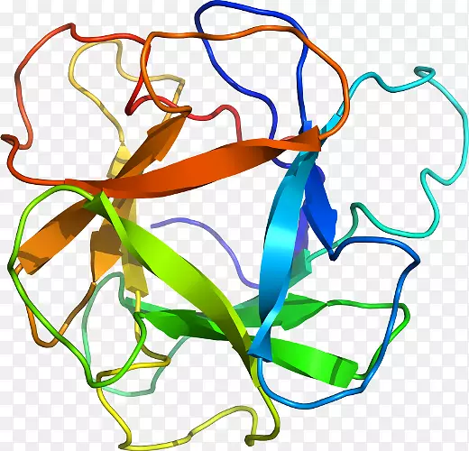 ��������Ʒ���ֲ�ﾥ��-������