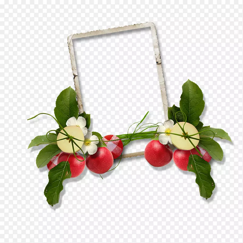 ͼ��pngͼƬ����adobe Photoshop��Ӱ.�滭-������