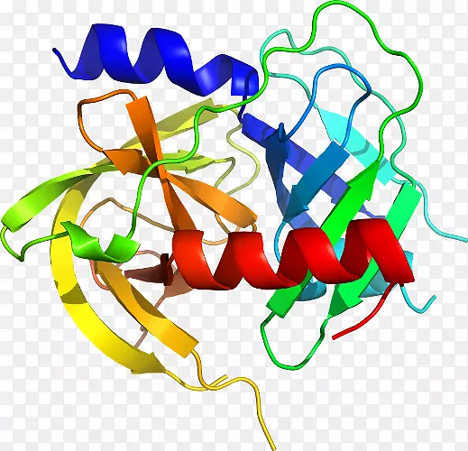 ��������Ʒֲ�ﾥ�߶���-������