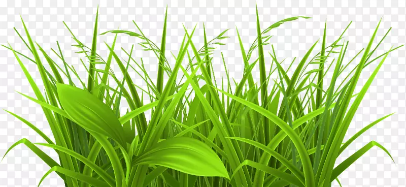 ������pngͼƬ�ݲ�ͼͼ��.Lora��ť-������