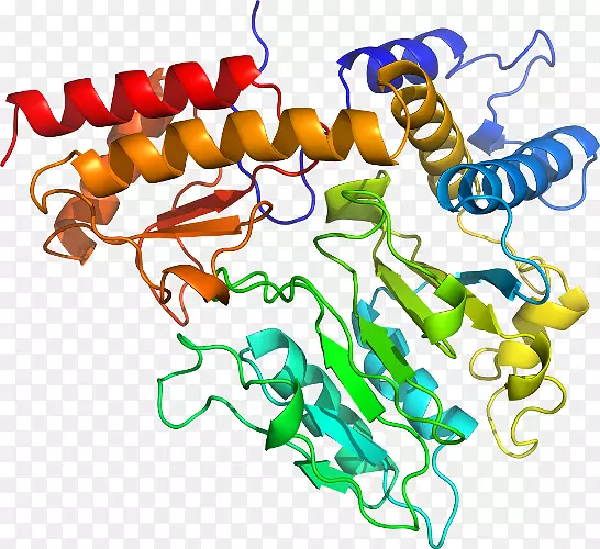 �������л����߶������-������